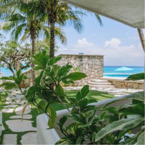 Terraza y vegetacion tropical